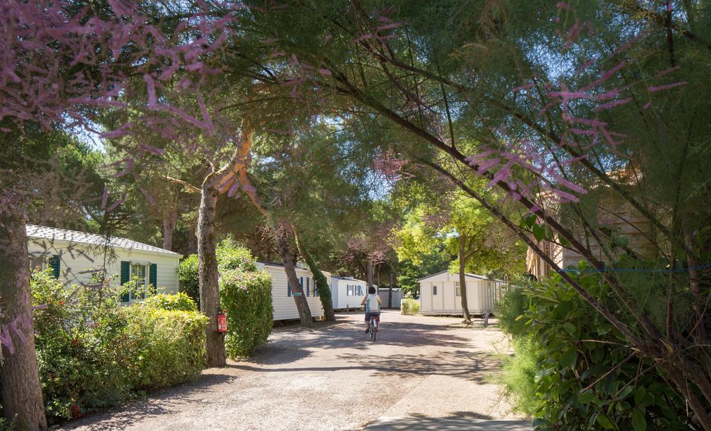 Camping Le Suroit Le Bois-Plage-en-Re Exterior photo